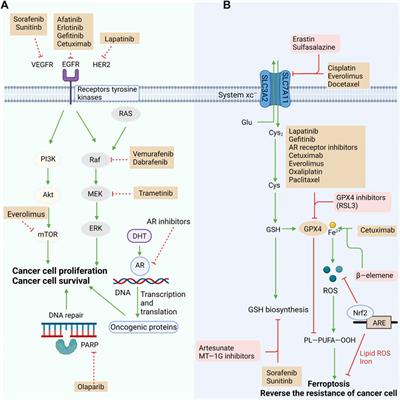 Targeting Ferroptosis Pathway to Combat Therapy Resistance and Metastasis of Cancer